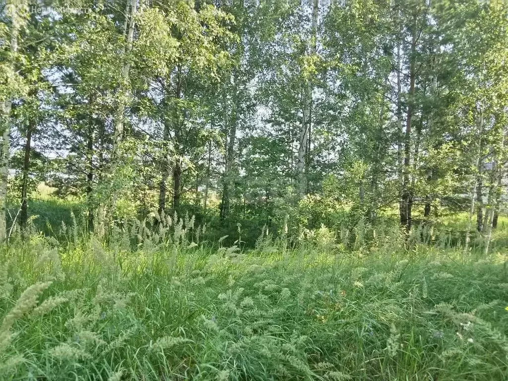 Участок в Сенгилеевский район, Тушнинское сельское поселение, село ... - Фото 0