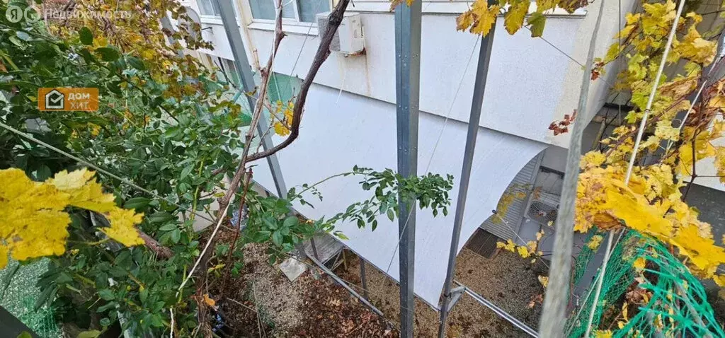 Квартира-студия: Севастополь, улица Челюскинцев, 57/1 (41 м) - Фото 0