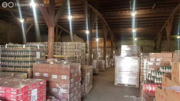 Склад (445 м) - Фото 2