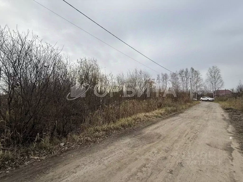 Участок в Тюменская область, Тюмень Садовое товарищество Липовый ... - Фото 1