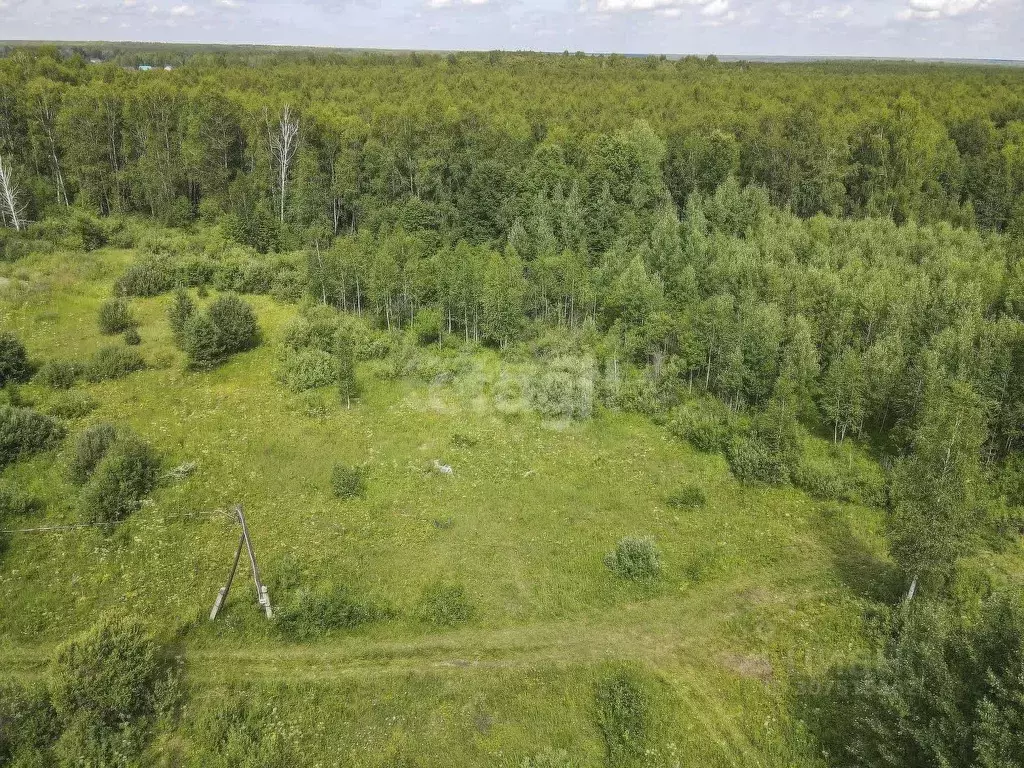 Участок в Тюменская область, Нижнетавдинский район, Сундукуль СНТ  ... - Фото 0