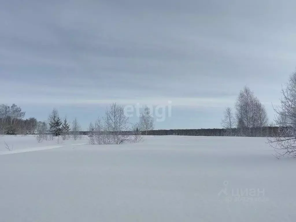 Участок в Челябинская область, Каслинский район, Тюбукское с/пос, пос. ... - Фото 1