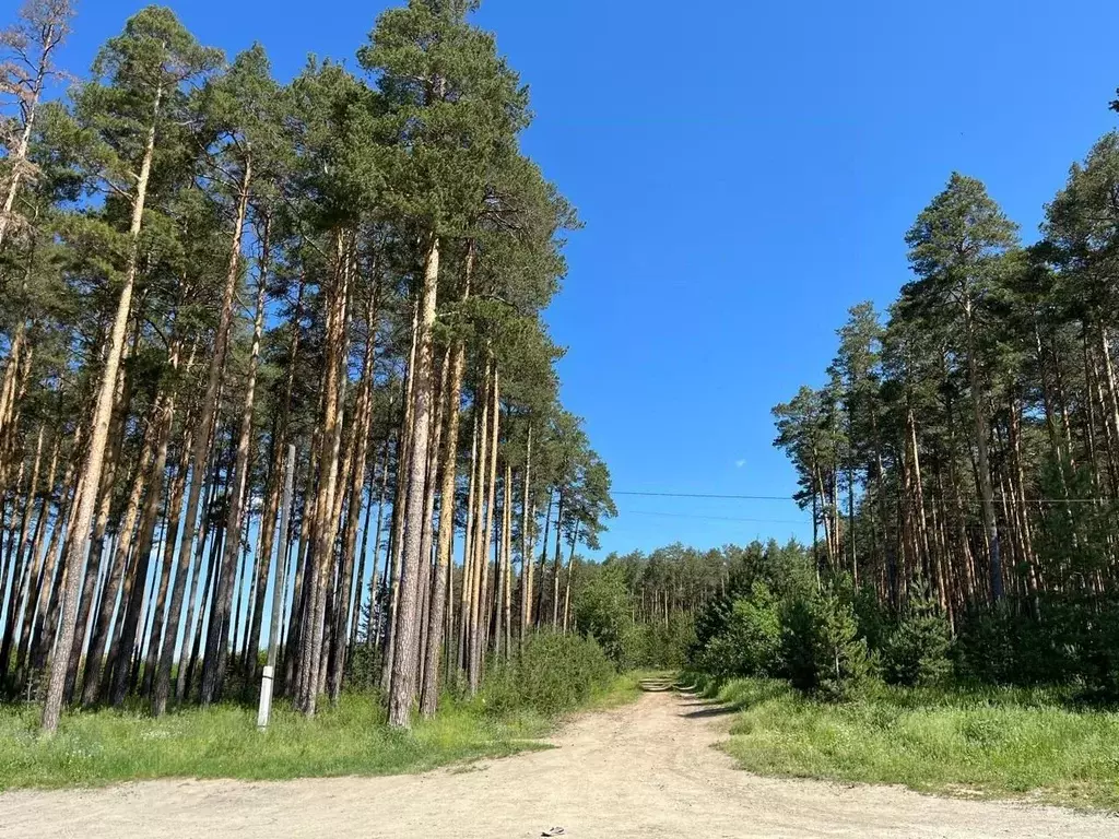 Участок в Свердловская область, Сысерть Красногорская ул. (100.0 сот.) - Фото 0