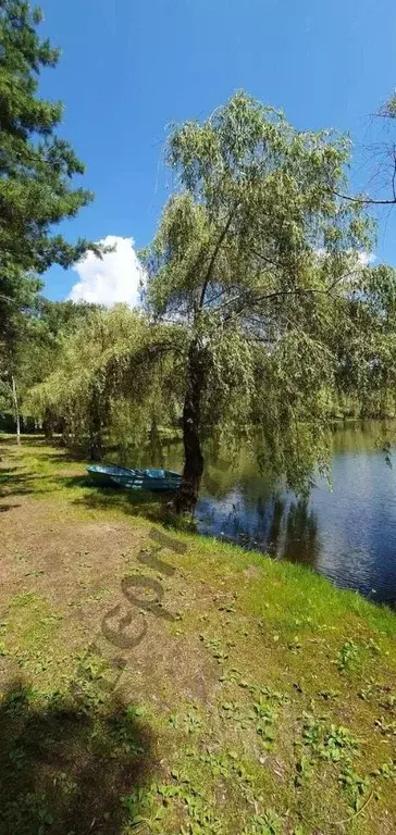 Участок в Белгородская область, Белгородский район, Поселок Разумное ... - Фото 1