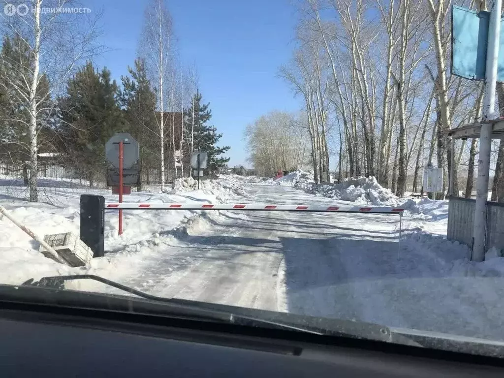 Участок в Искитимский район, Чернореченский сельсовет, садовое ... - Фото 2