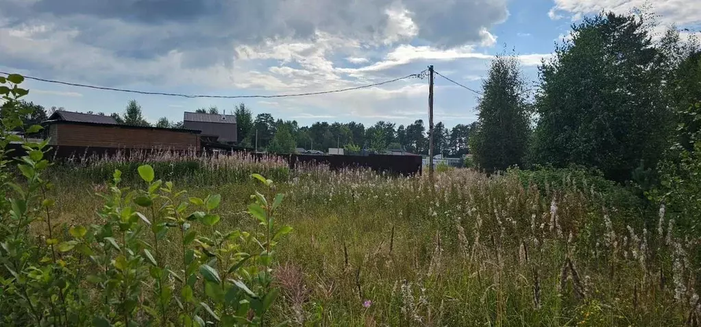 Участок в Ленинградская область, Выборгский район, Полянское с/пос, ... - Фото 1