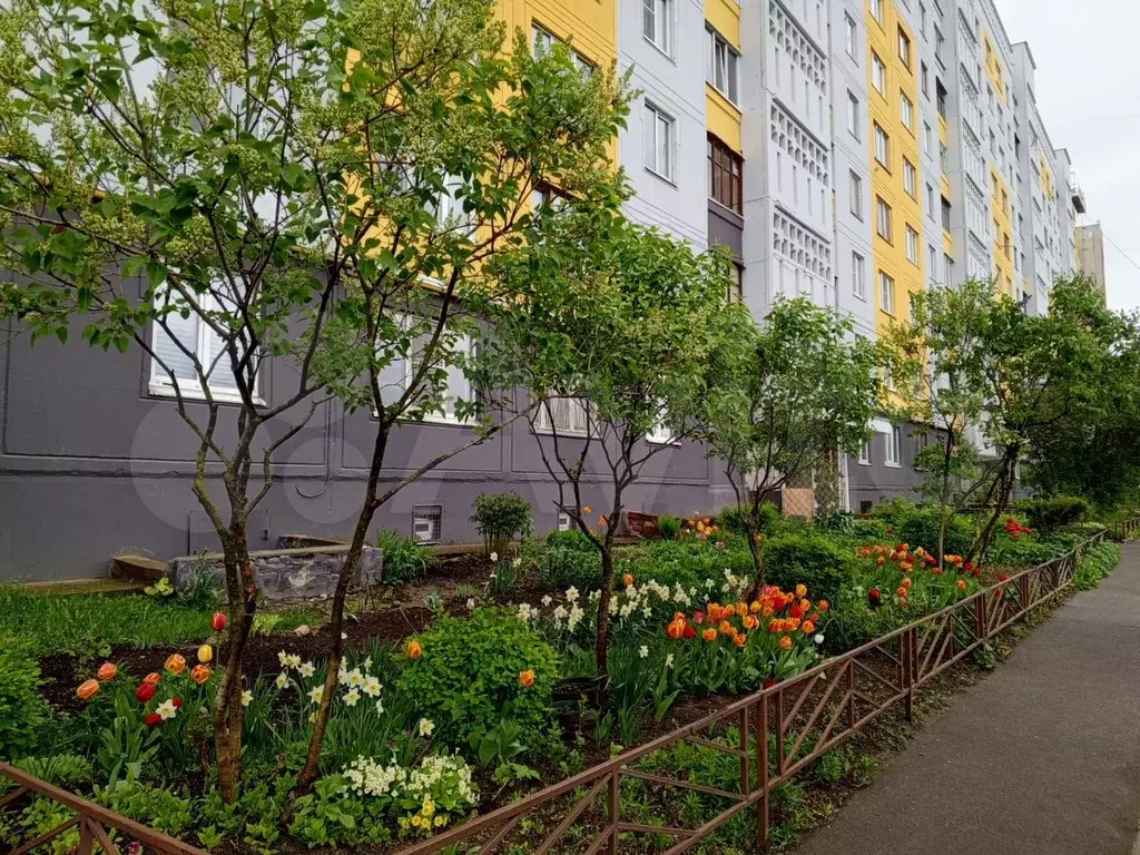 3-к. квартира, 65 м, 3/10 эт. - Фото 0