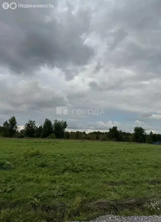 Участок в Мошковский район, посёлок Октябрьский (13.8 м) - Фото 2