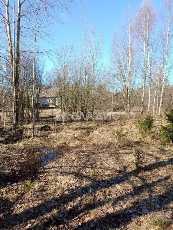Дом в Владимирская область, Вязниковский район, Сарыевское ... - Фото 1