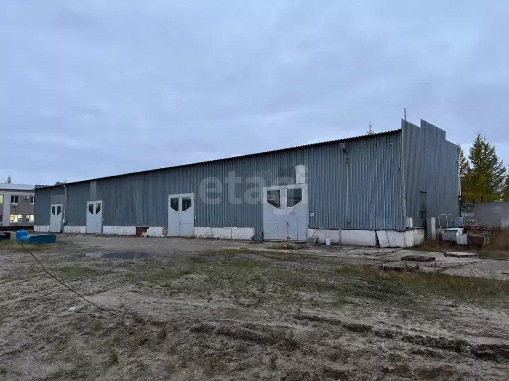 Склад в Ямало-Ненецкий АО, Новый Уренгой ул. Промысловая, 11 (4443 м) - Фото 2