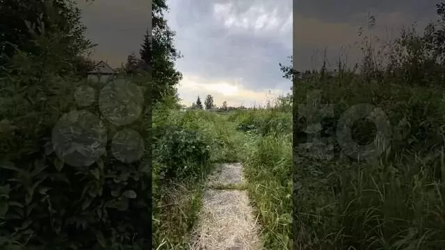 Участок 10 сот. (СНТ, ДНП) - Фото 1