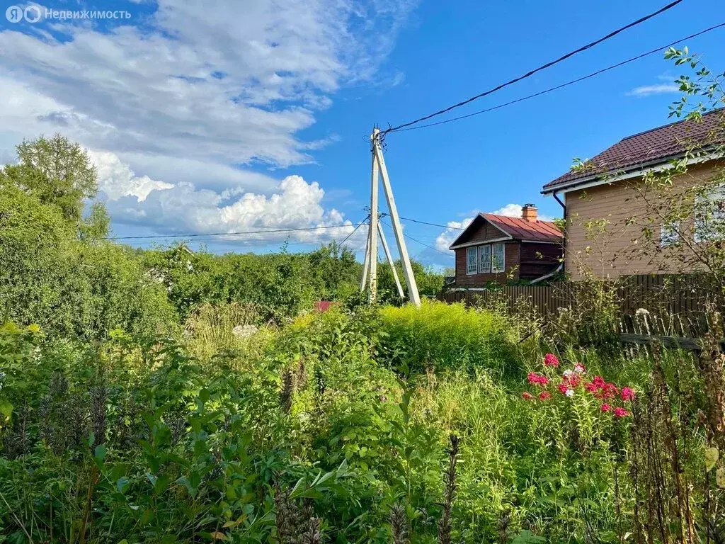 Участок в Санкт-Петербург, садоводческое некоммерческое товарищество ... - Фото 2