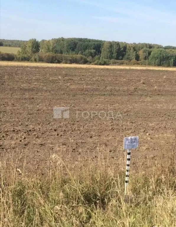 Участок в Новосибирская область, Мошковский район, с. Томилово  (100.0 ... - Фото 1