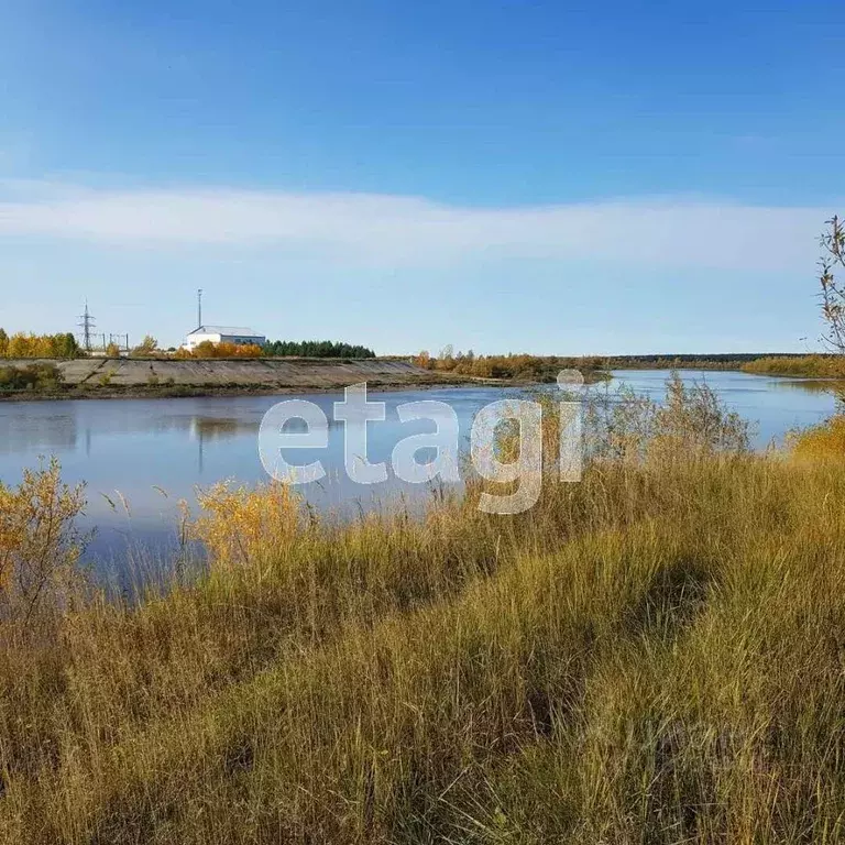 Участок в Тюменская область, Тюменский район, с. Ембаево  (10.95 сот.) - Фото 1