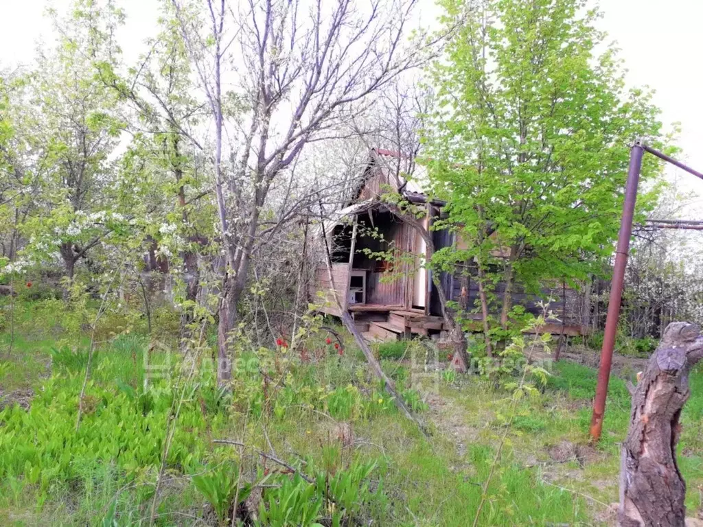 Дом в Волгоградская область, Волгоград Восход СНТ,  (20 м) - Фото 0