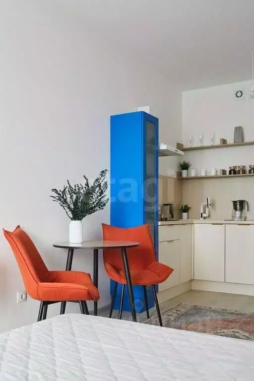 Студия Санкт-Петербург ул. Тосина, 6 (25.0 м) - Фото 1