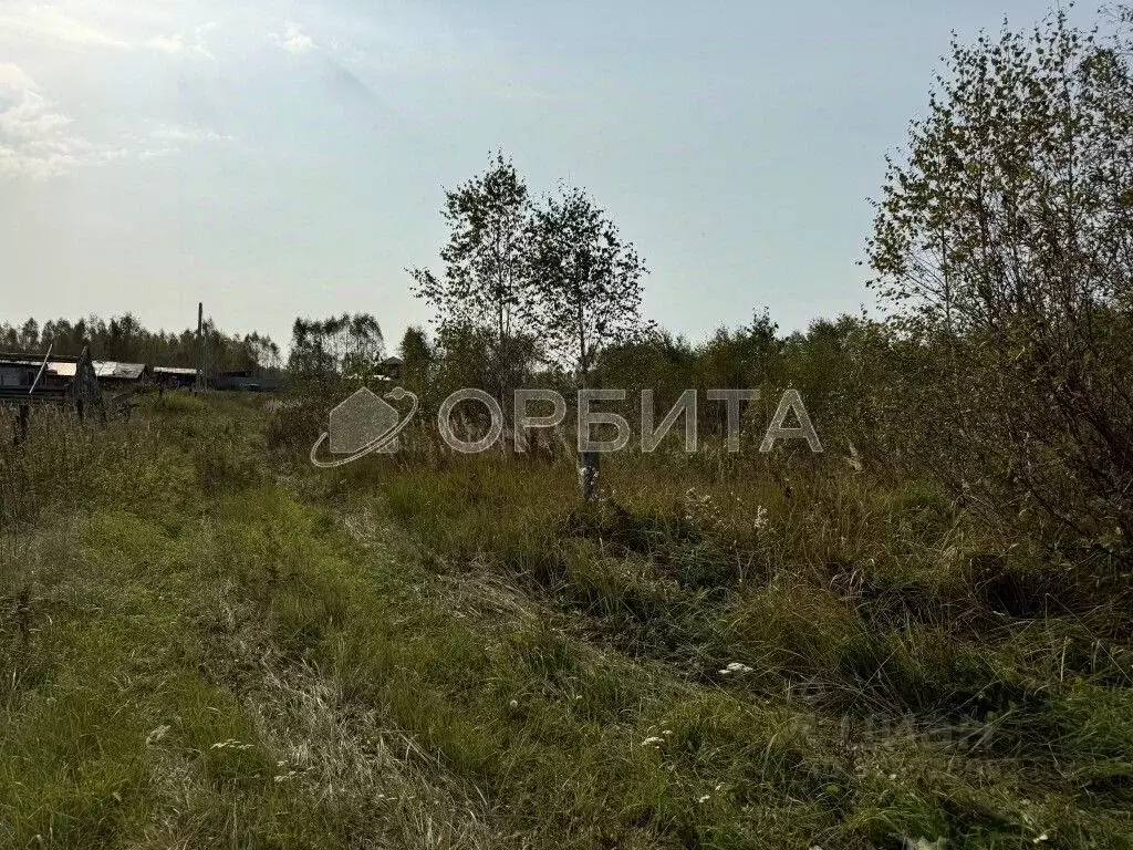 Участок в Тюменская область, Нижнетавдинский муниципальный округ, ... - Фото 1