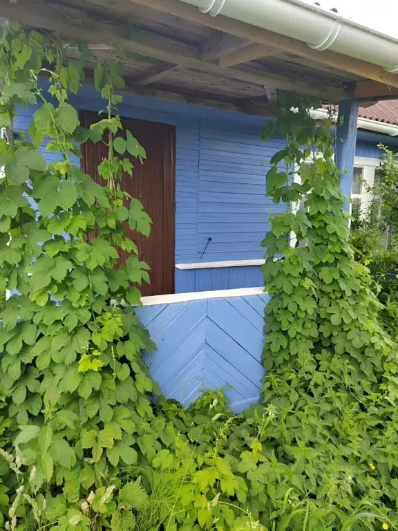 Дом в Новгородская область, Новгородский район, Ермолинское с/пос, д. ... - Фото 2