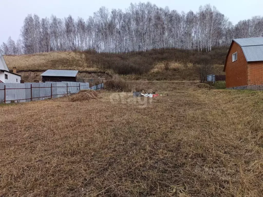 Участок в Новосибирская область, Новосибирский район, Раздольненский ... - Фото 0