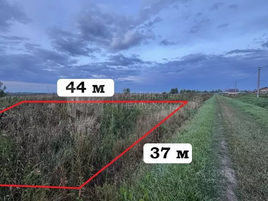 Участок в Тюменская область, Тюменский муниципальный округ, с. ... - Фото 1