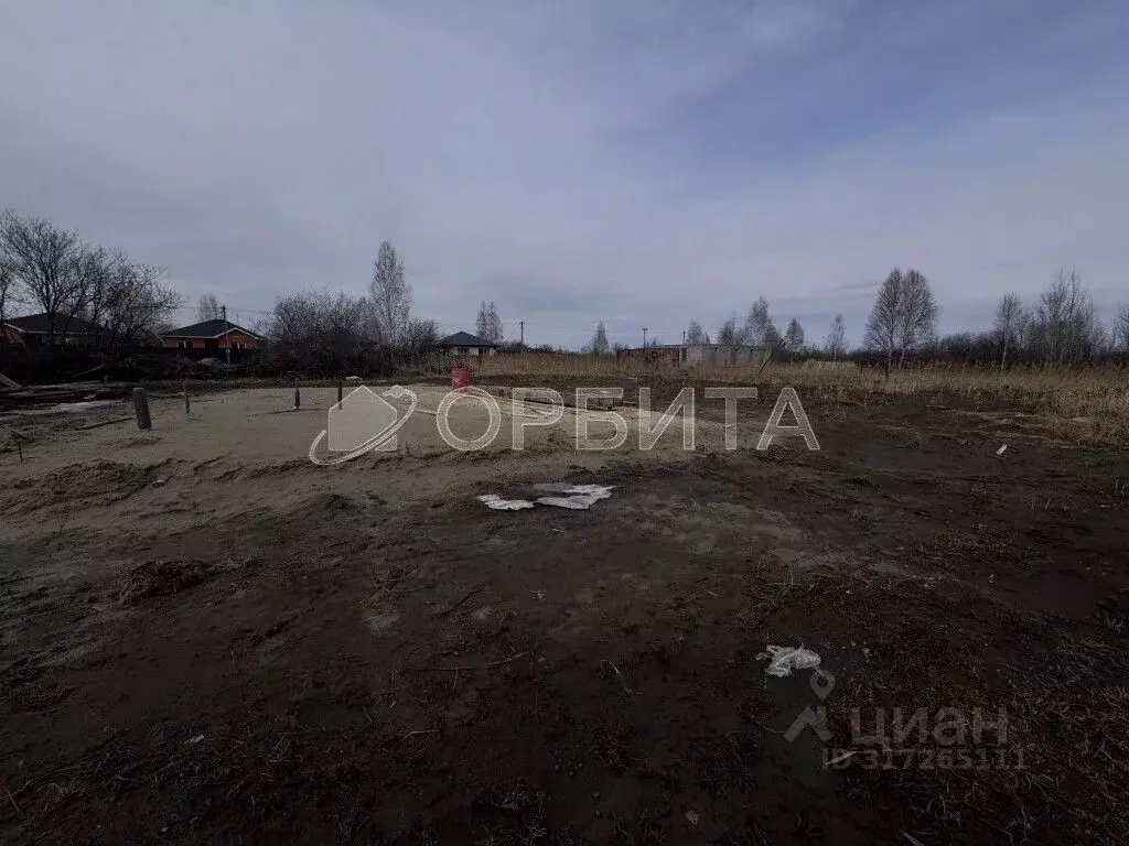 Участок в Тюменская область, Тюмень Россиянка садовое товарищество, ... - Фото 1