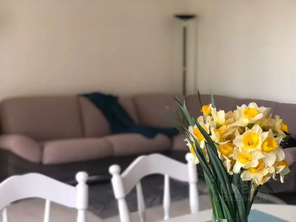 1-к кв. Краснодарский край, Краснодар Центральный мкр, ул. Имени ... - Фото 2