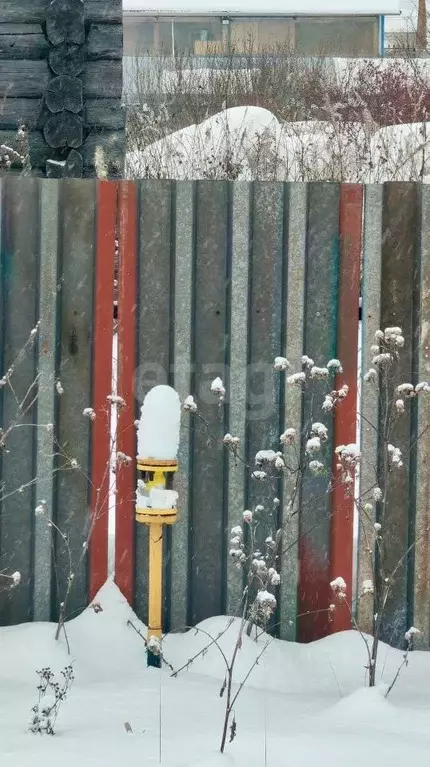 Дом в Тюменская область, с. Ярково ул. Дачная (36 м) - Фото 1