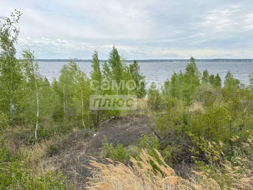 Участок 6,5 сот. (СНТ, ДНП) - Фото 1