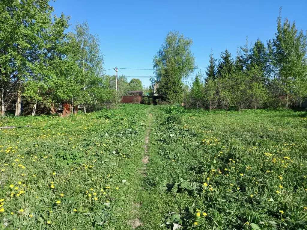 Участок в Московская область, Мытищи городской округ, д. Ульянково ул. ... - Фото 1