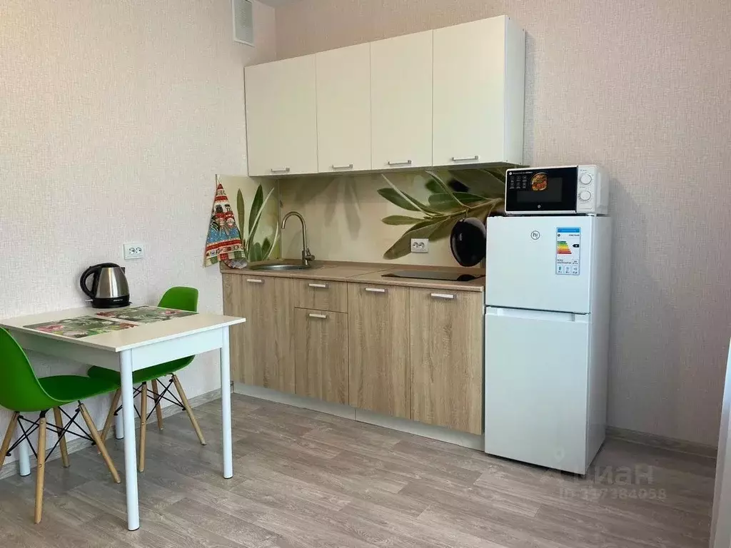 1-к кв. Новосибирская область, Новосибирск ул. Петухова, 162 (26.0 м) - Фото 1
