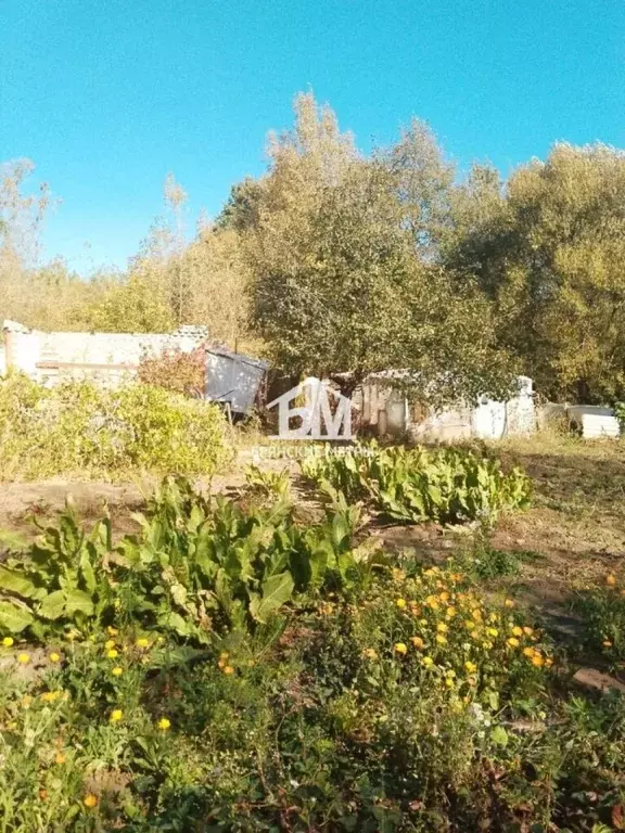 Участок в Брянская область, Брянск Десна-2 садовое общество, 139 (4.5 ... - Фото 2