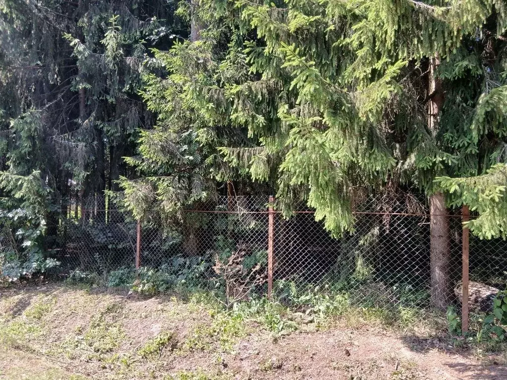 Участок в Московская область, Одинцовский городской округ, д. Сивково, ... - Фото 1