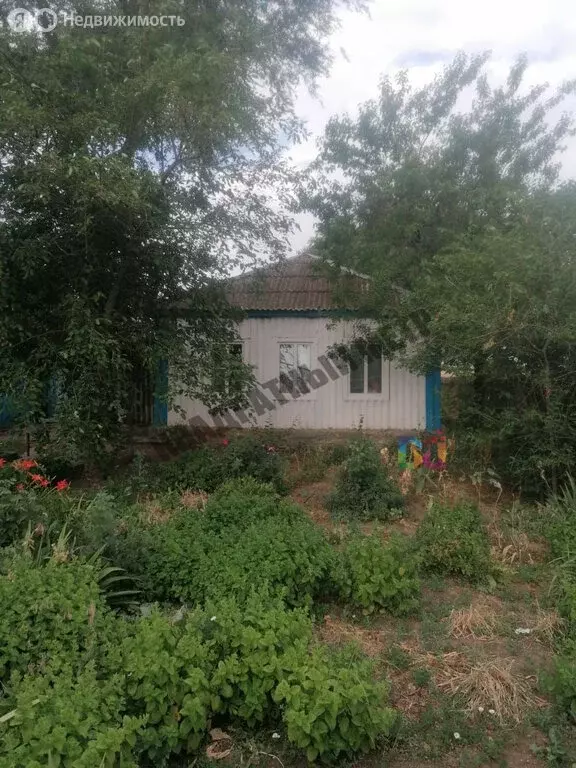 Дом в Яшалтинский район, Березовское сельское муниципальное ... - Фото 0