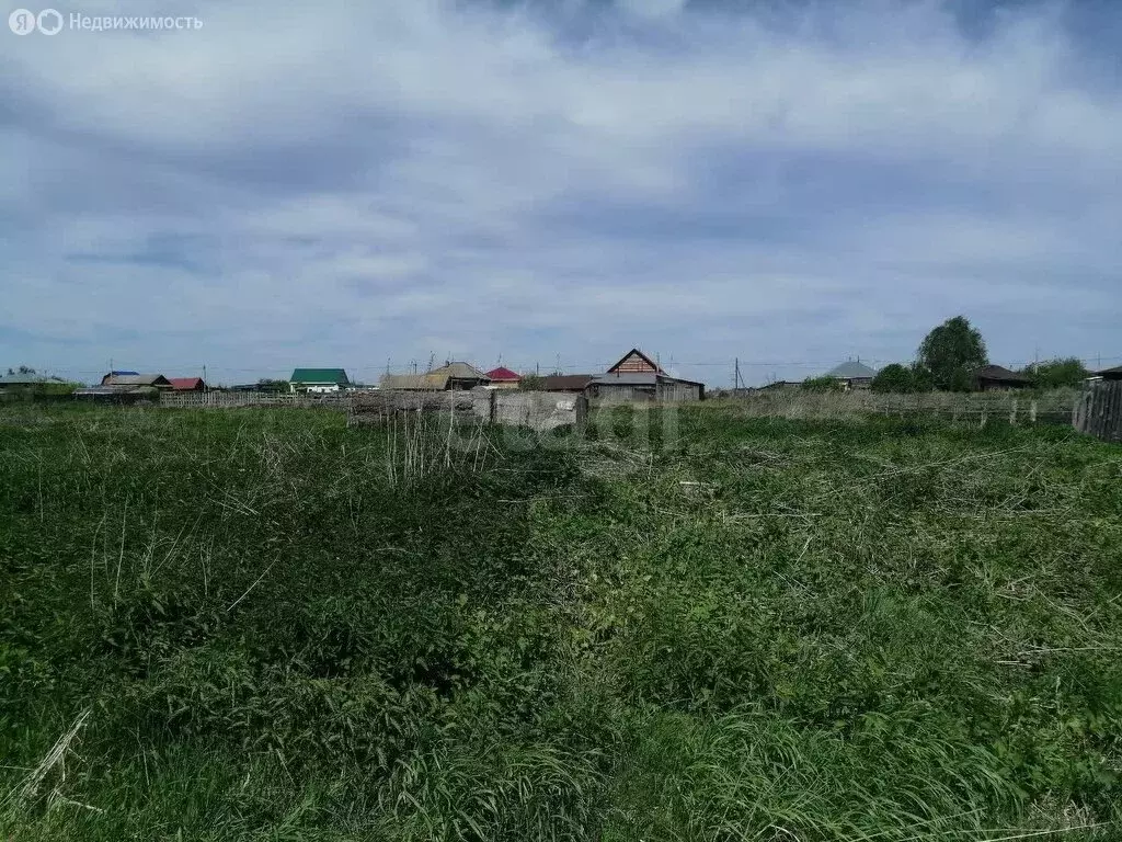 Участок в Курганская область, Шадринский муниципальный округ, село ... - Фото 2