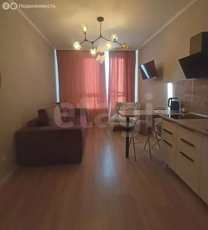 Квартира-студия: посёлок Шушары, улица Нины Петровой, 10к1 (22.4 м) - Фото 2