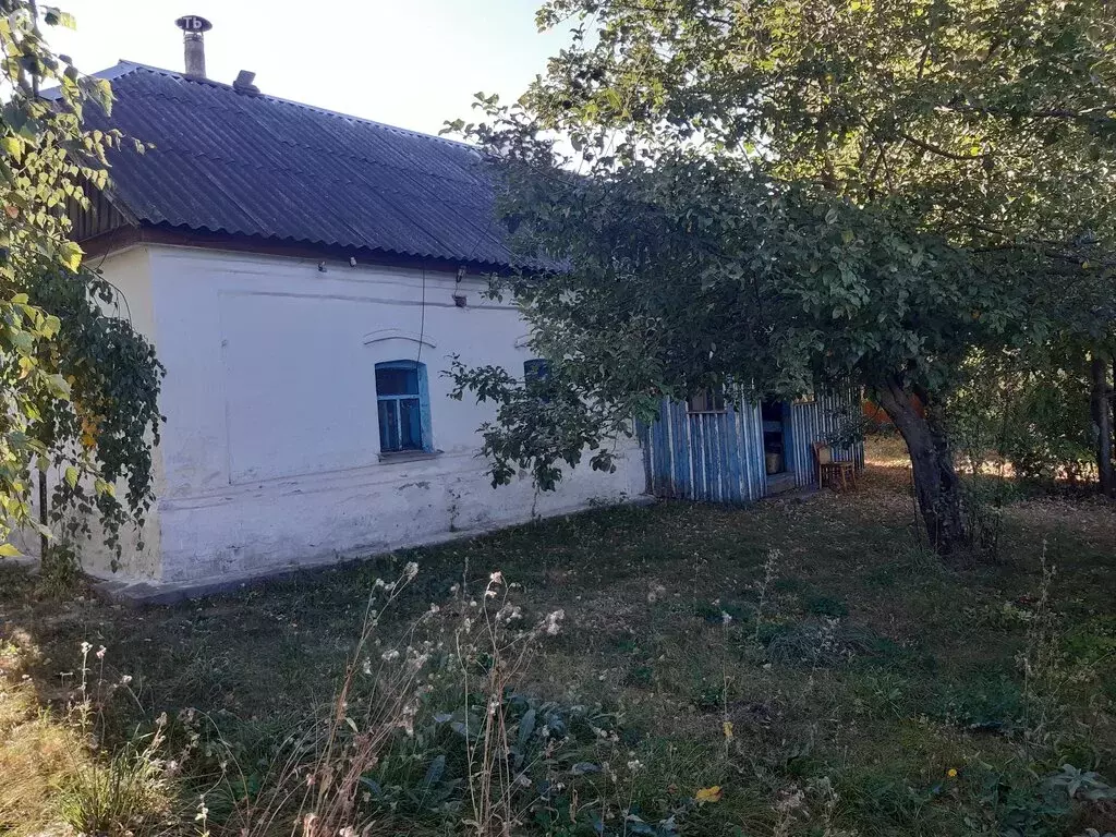 Дом в село Никольское, улица Ленина, 96 (52.6 м) - Фото 1