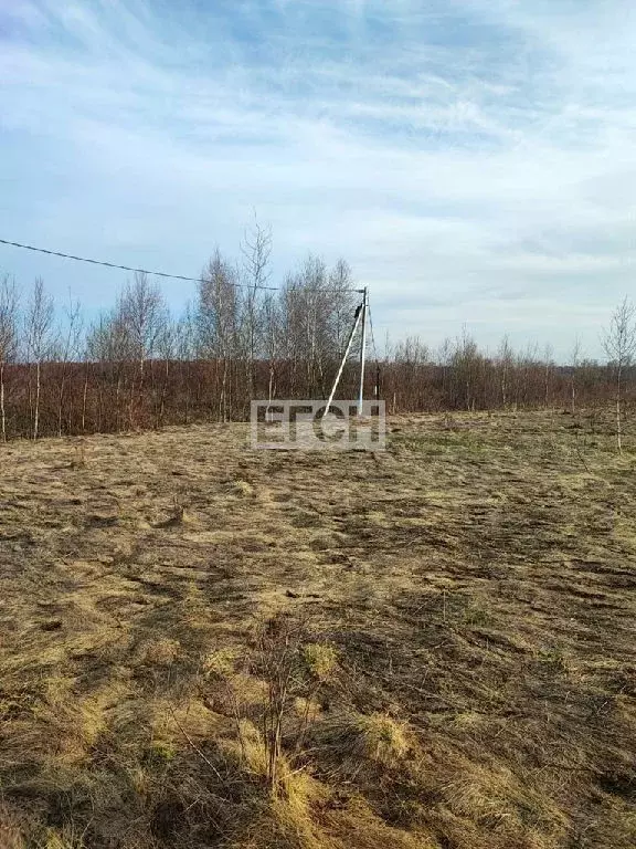 Продается участок в с. Дмитровское - Фото 1