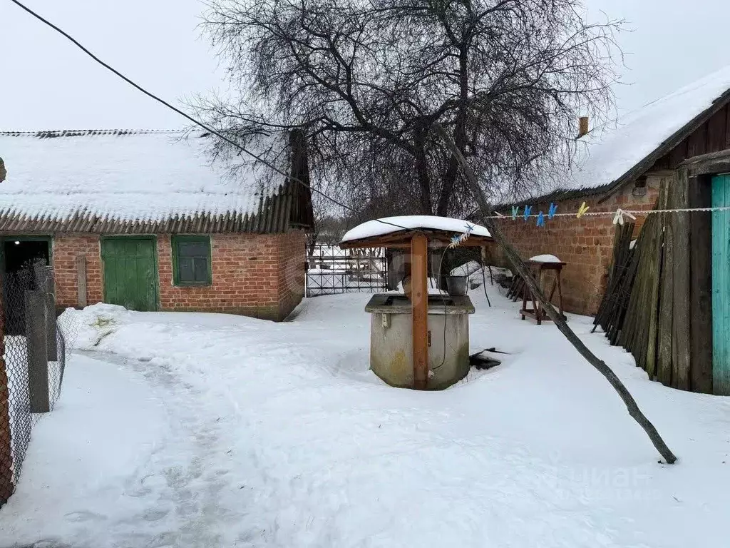 Дом в Белгородская область, Шебекинский муниципальный округ, с. ... - Фото 2