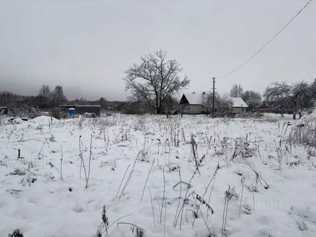 Участок в Ленинградская область, Кингисеппский район, Опольевское ... - Фото 2