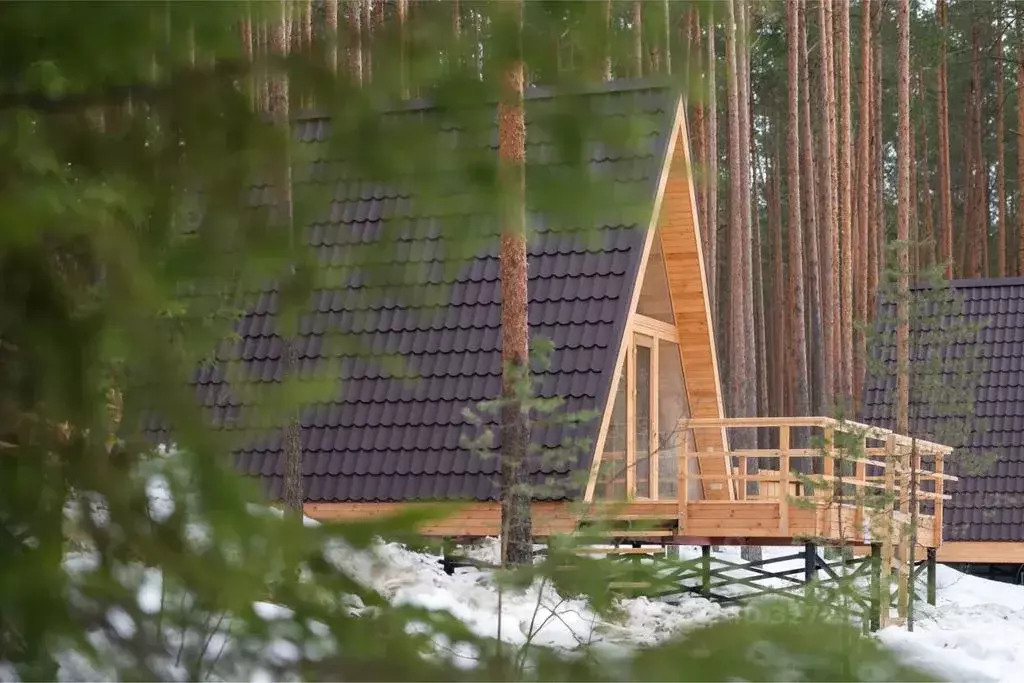 Дом в Тверская область, Калининский муниципальный округ, д. Орша  (40 ... - Фото 1