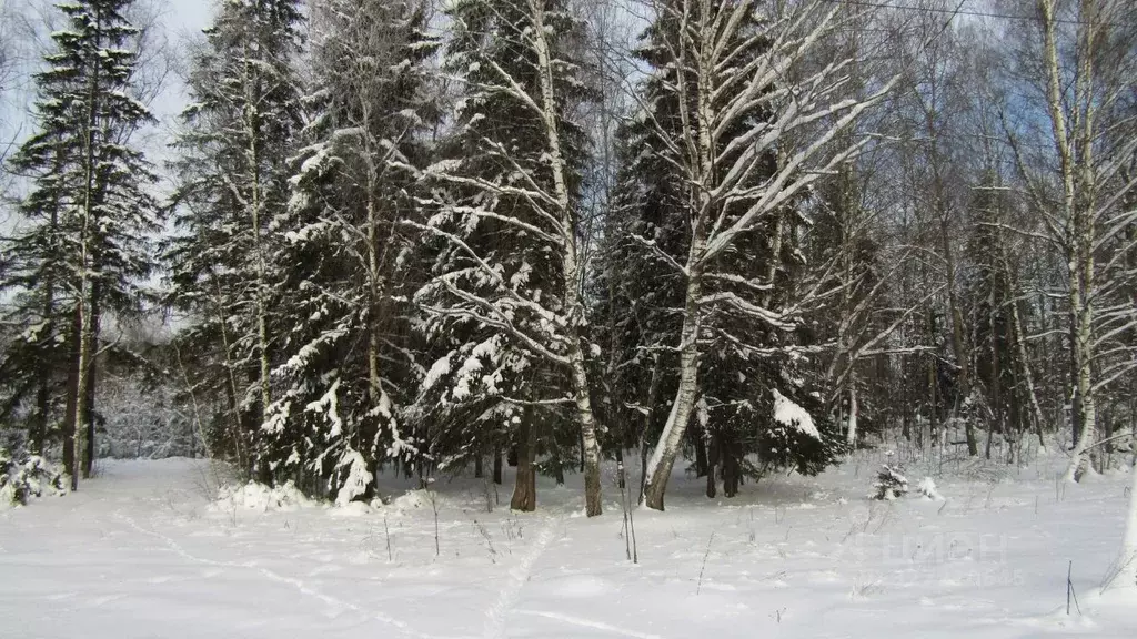 Участок в Московская область, Рузский муниципальный округ, д. ... - Фото 1