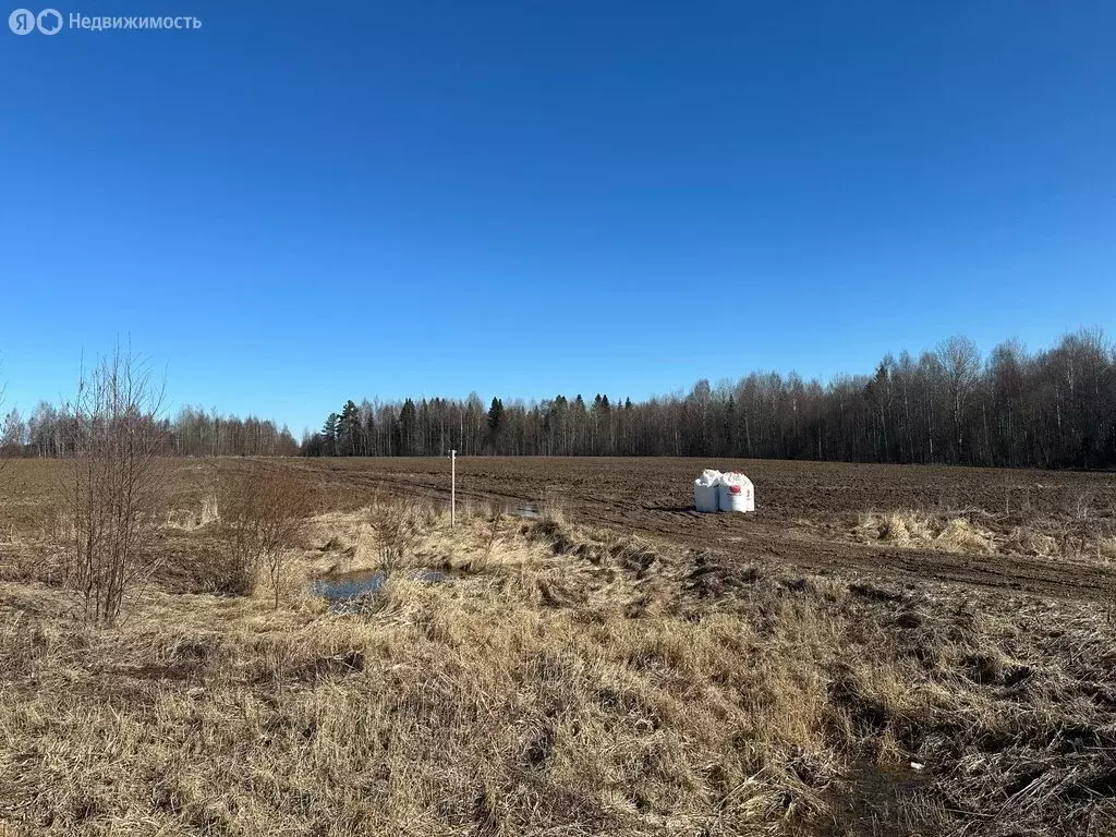 Участок в Вологодский муниципальный округ, Кубенское территориальное ... - Фото 1