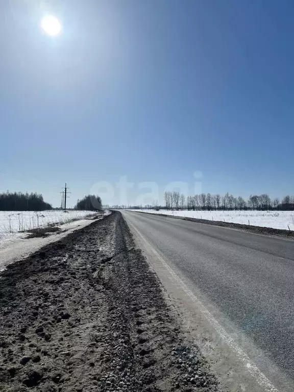 Участок в Калужская область, Перемышльский муниципальный округ, Горки ... - Фото 1