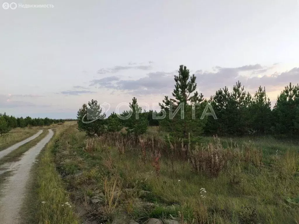 Участок в Усть-Ницинское сельское поселение, деревня Бурмакина (53.91 ... - Фото 1