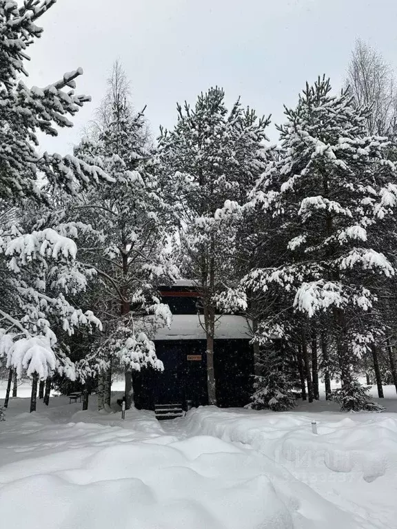 Дом в Карелия, Пряжинский район, Чалнинское с/пос, д. Нижние Виданы, ... - Фото 1