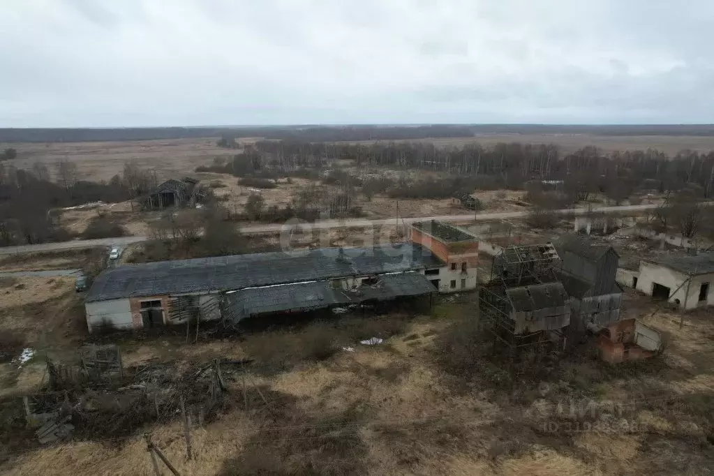 Участок в Калужская область, Юхновский район, Куркино с/пос, д. Тибеки ... - Фото 2
