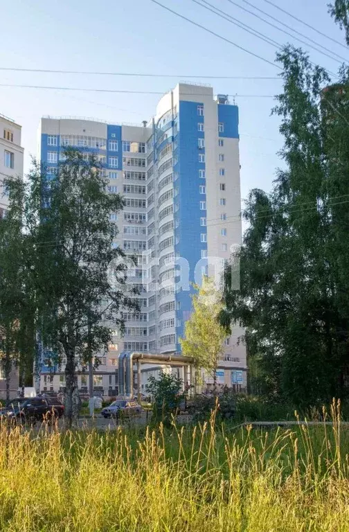 Студия Коми, Сыктывкар ул. Куратова, 72 (41.0 м) - Фото 1