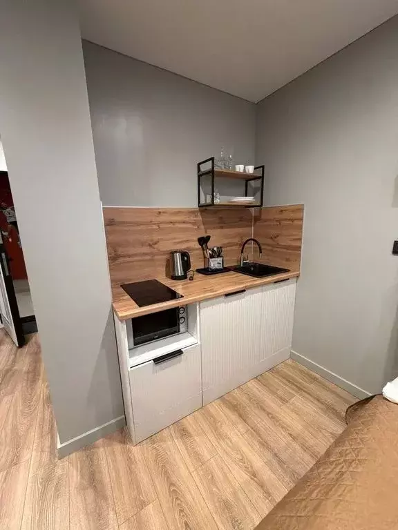 Студия Москва Ленинский просп., 158 (25.0 м) - Фото 2