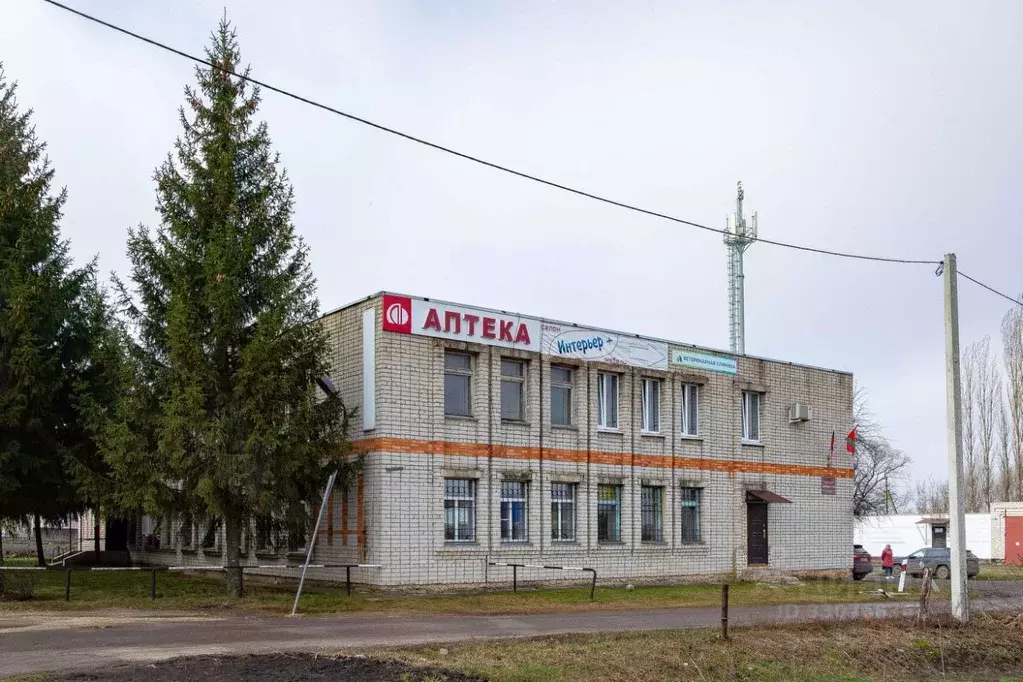 Офис в Липецкая область, с. Доброе ул. 50 лет Октября, 28 (203 м) - Фото 1