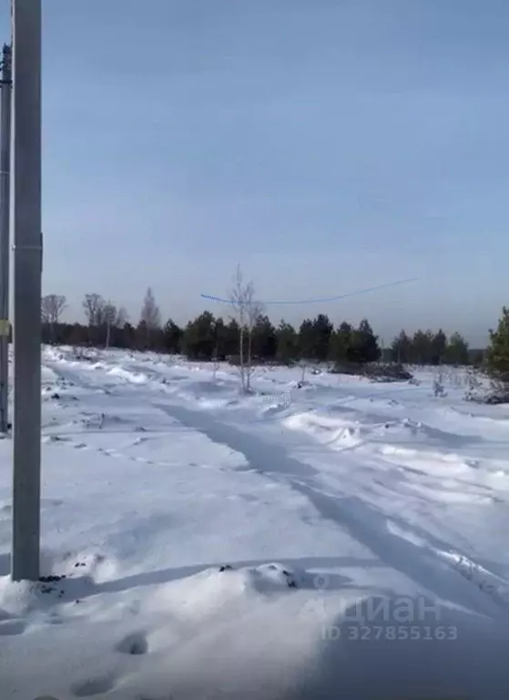 Участок в Татарстан, Верхнеуслонский район, с. Нижний Услон  (10.0 ... - Фото 1